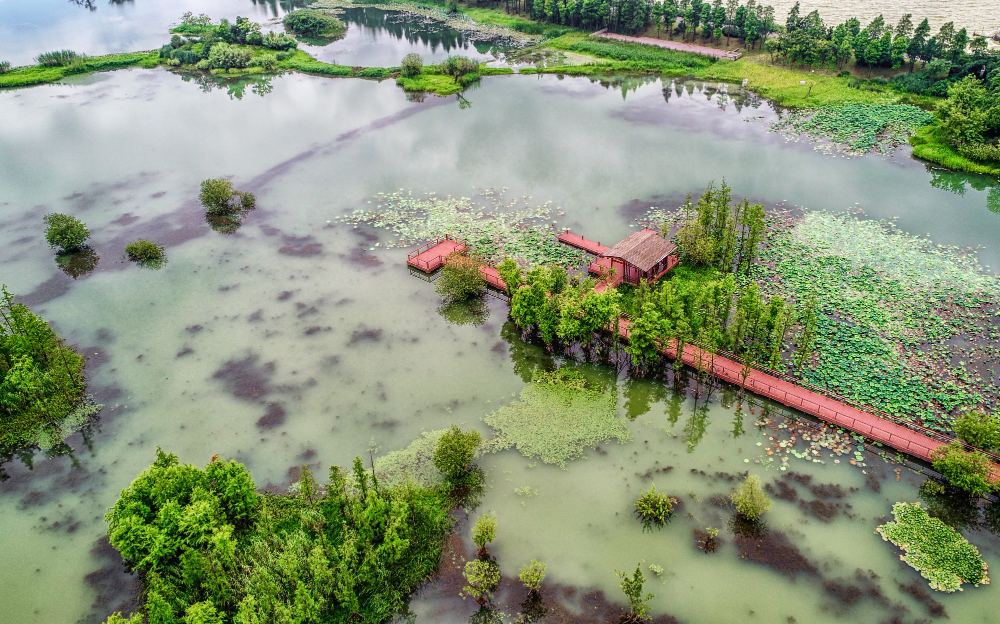 Su Sulak Alan 02 Şubat Ne Günü Gençgazete (9)