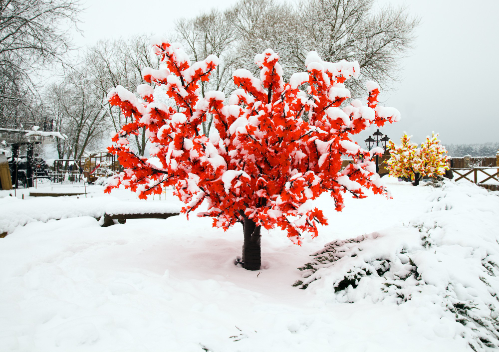 Şubat Ayı Kış Ayları Kış Mevsimi Gençgazete (4)