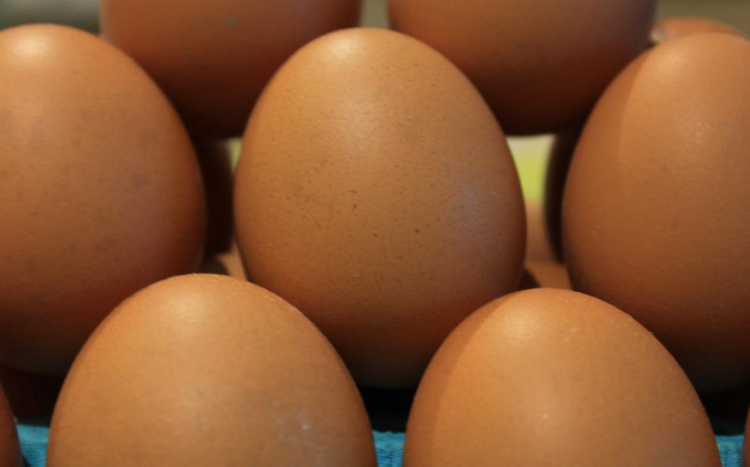 Türkiye’de Yumurta Üretimi 1,26 Milyar Adet Azaldı (1)