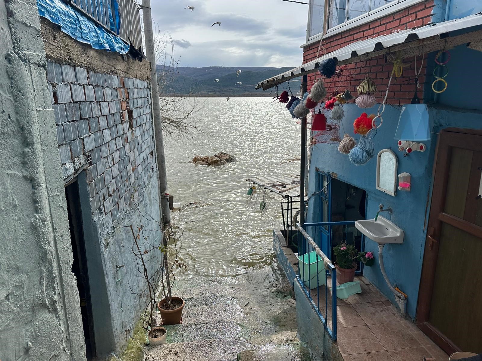 Uluabat Gölü Kuraklıkla Boğuşuyordu... Yağışlarla Yeniden Küçük Venedik Oldu (3)