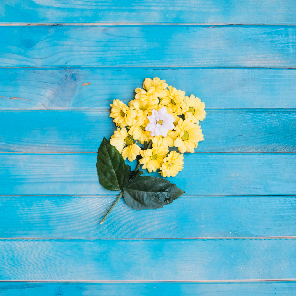 Unutma Beni Günü 24 Şubat Ne Günü Çiçekler Gençgazete (14)