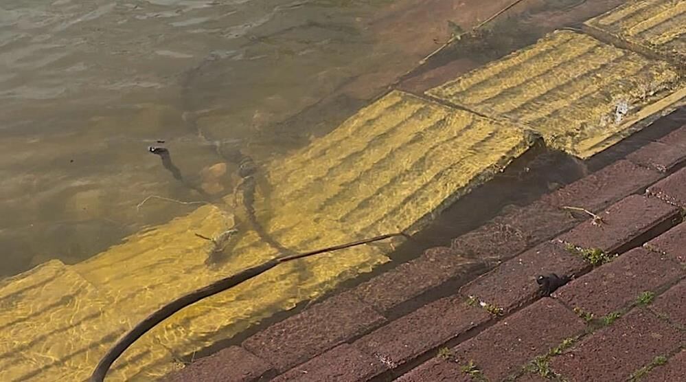 Yaren Leyleğin Köyü De Yükselen Göl Sularından Etkilendi! (1)