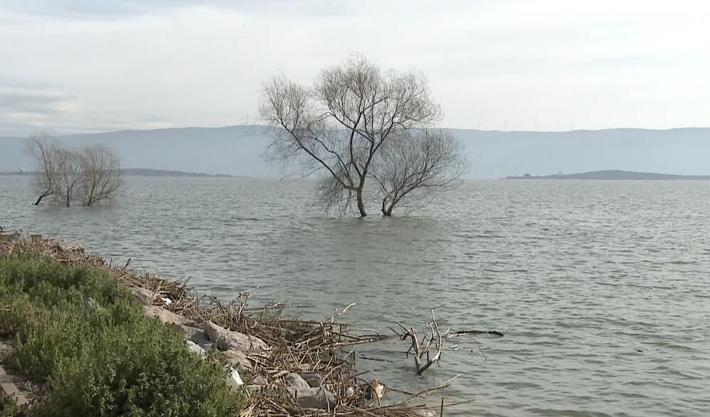 Yaren Leyleğin Köyü De Yükselen Göl Sularından Etkilendi! (2)