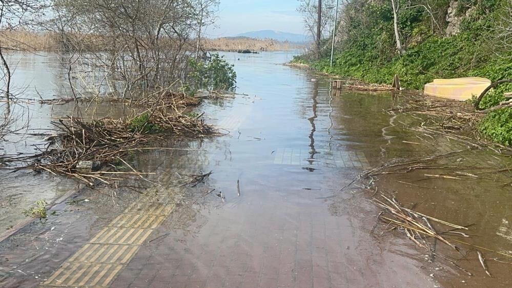 Yaren Leyleğin Köyü De Yükselen Göl Sularından Etkilendi! (4)