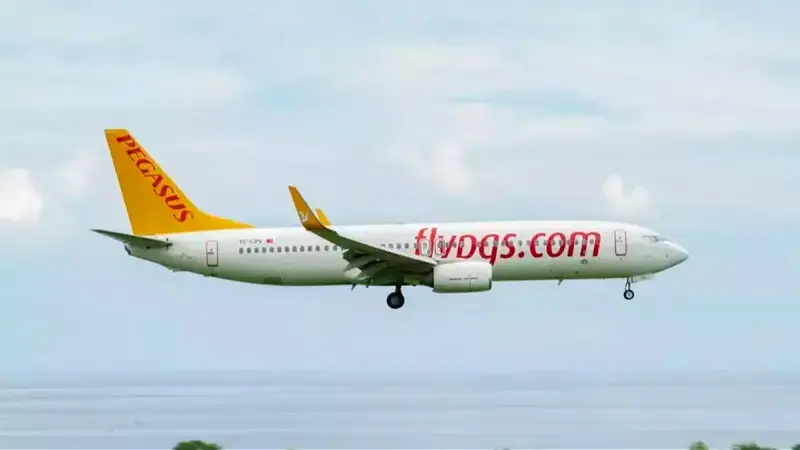 1D9D3464 Dg97Z3Tzjtq8Orty8Z7U2