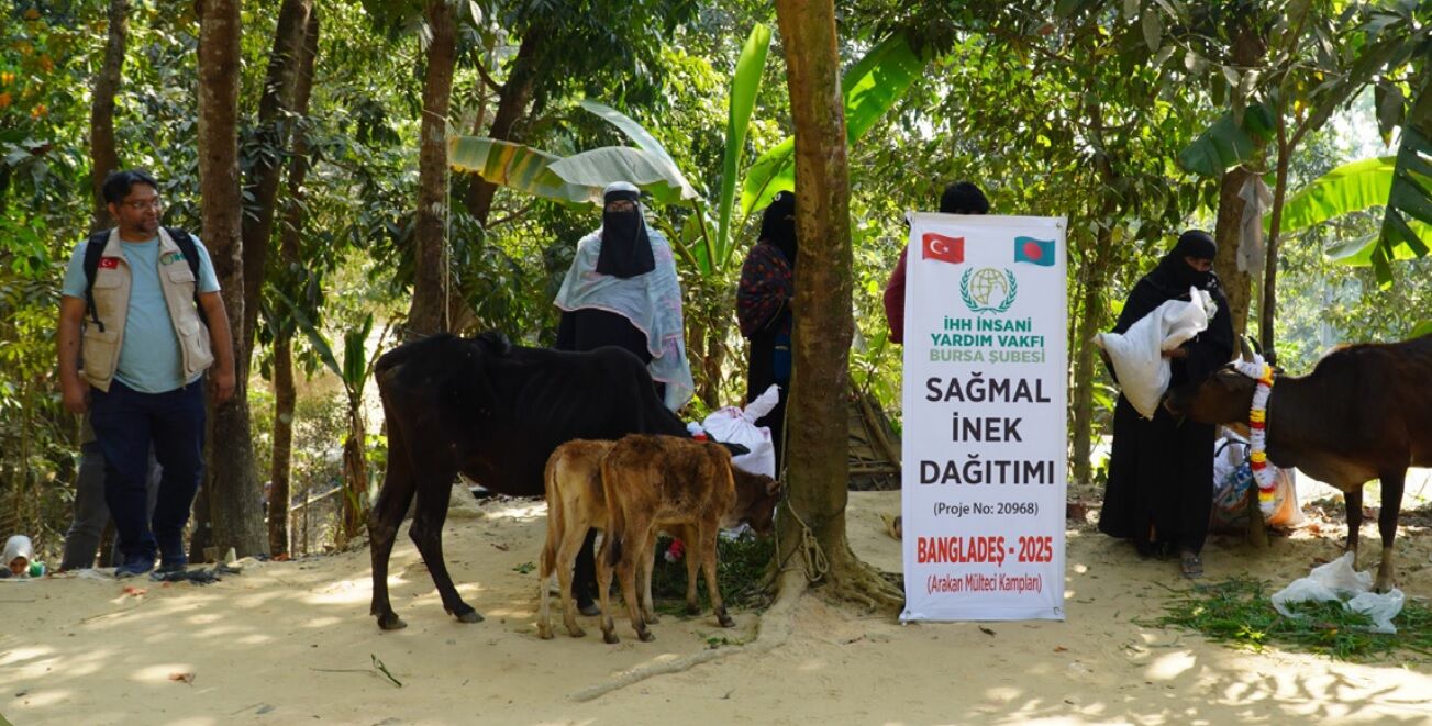 452E70Ee 5C06 455B Ba33 C536697De856