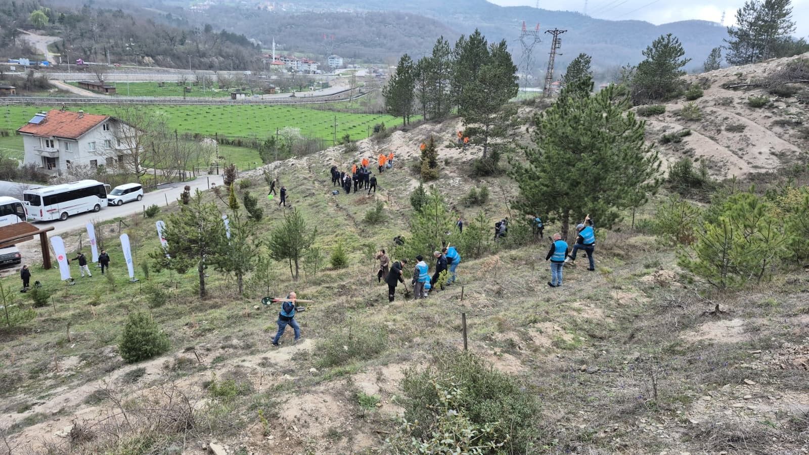 Bartın'da Hükümlüler Fidan Dikti (3)