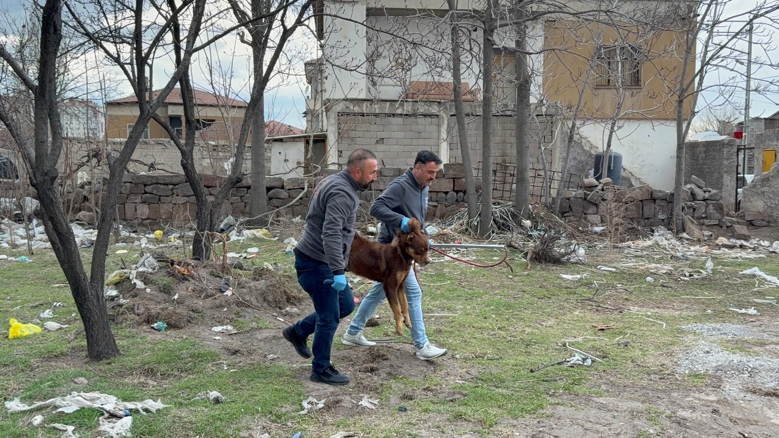 Başıboş Köpeğin Saldırdığı 3 Yaşındaki Çocuk Ağır Yaralandı (1)