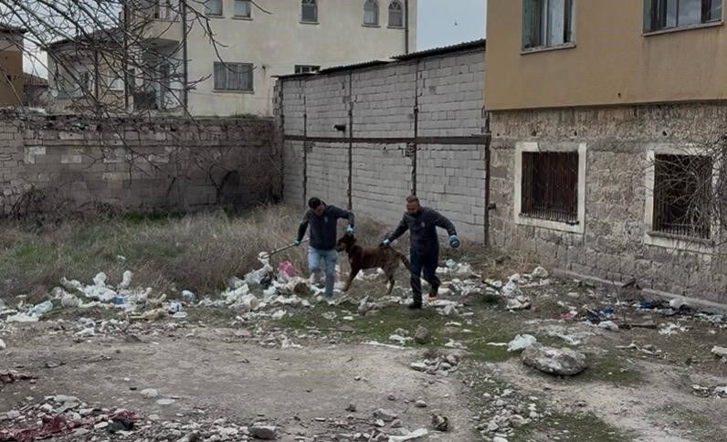 Başıboş Köpeğin Saldırdığı 3 Yaşındaki Çocuk Ağır Yaralandı (2)
