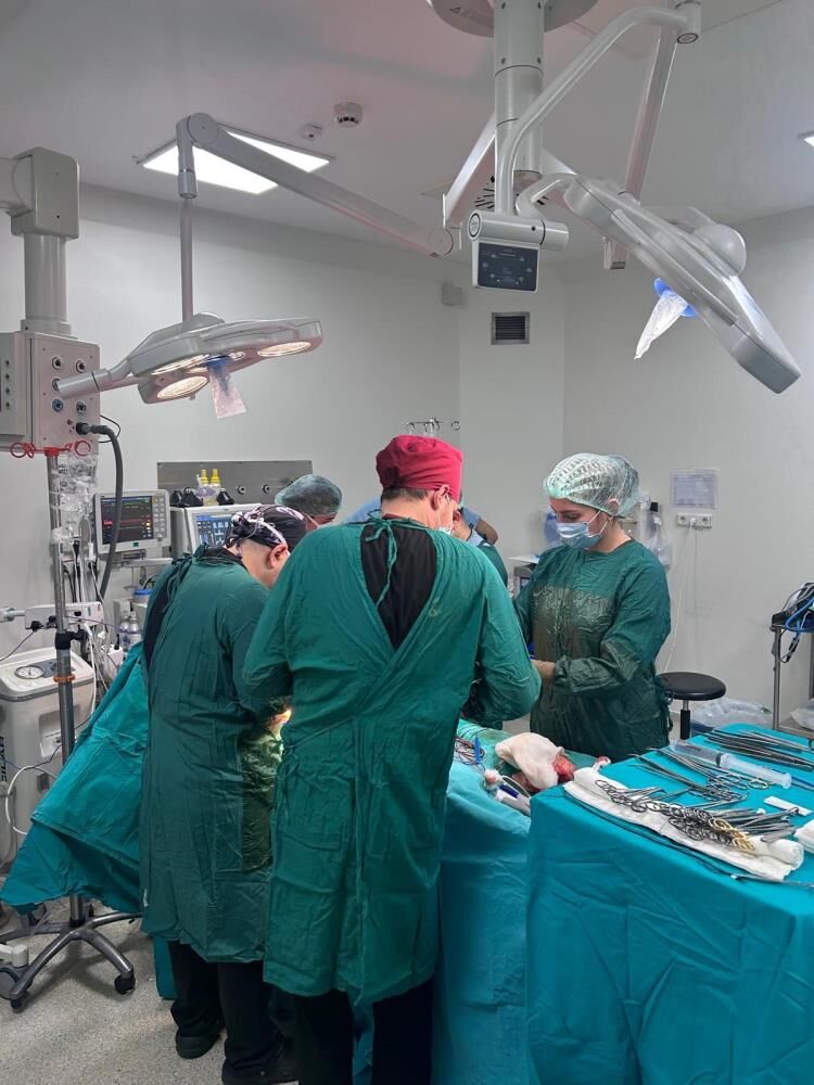 Bursa Organ Bağışında Türkiye'nin 'Umut Başkenti' Oldu! (3)