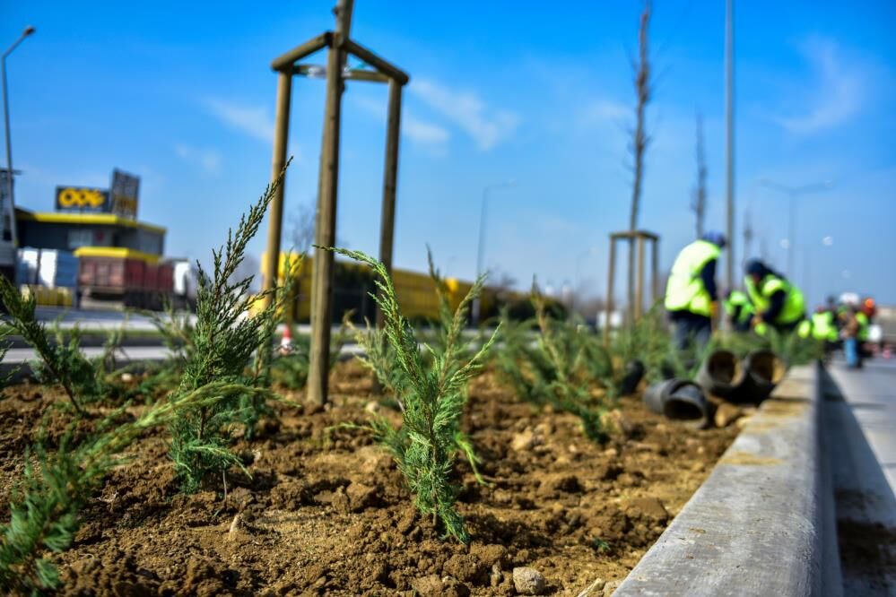 Bursa'da Cadde Ve Bulvarlara Estetik Dokunuş (2)
