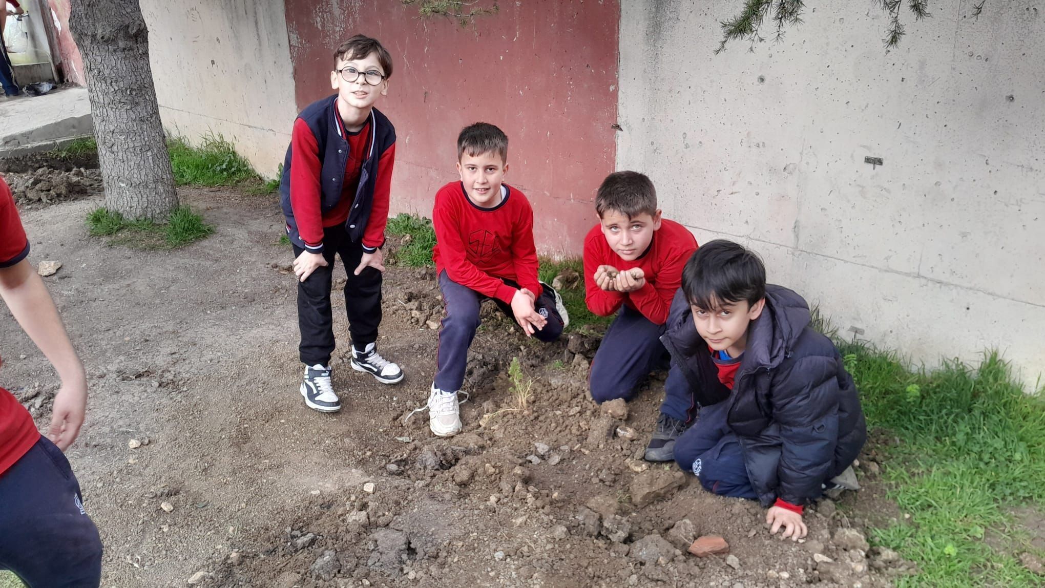 Bursa'da Ilköğretim Öğrencileri Selvi Fidanı Diktiler (2)