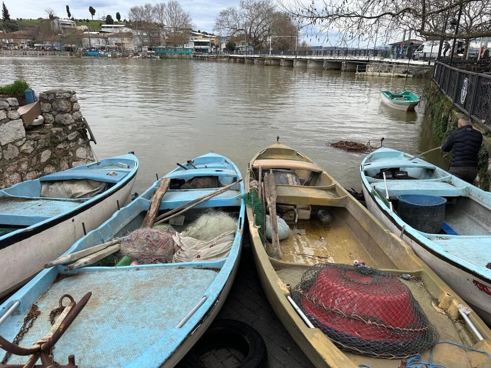 Bursa'da İstilacı İsrail Sazanları Balıkçılara Gelir Kaynağı Oldu! (1)