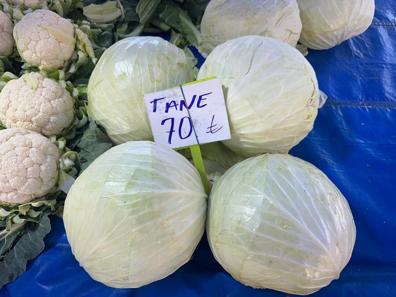 Bursa'da Pazarda 70 Lira Ama Yüzbinlercesi Tarlada Çürüdü Üreticiler Tarım Kredi'ye Çağrı Yaptı (5)