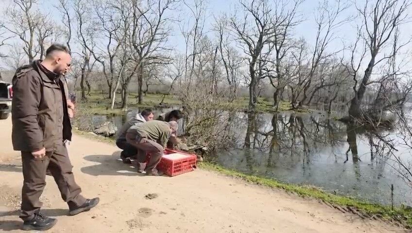 Bursa'da Yaban Hayatına Özgürlük! (1)