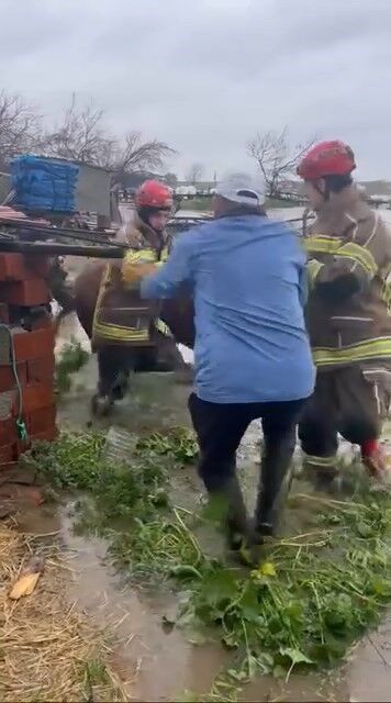 Bursa'ya Sağanak Vurdu! Tarlalar Göle Döndü, Hayvanlar Mahsur Kaldı (2)