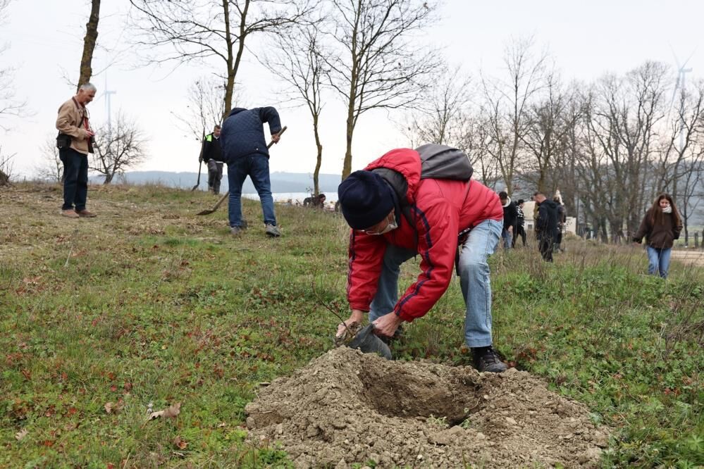 Bursa'ya Umut Ormanı Geliyor! (4)