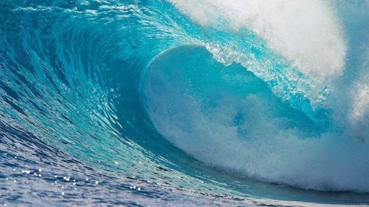 Deniz Neden Dalgalanır (1)