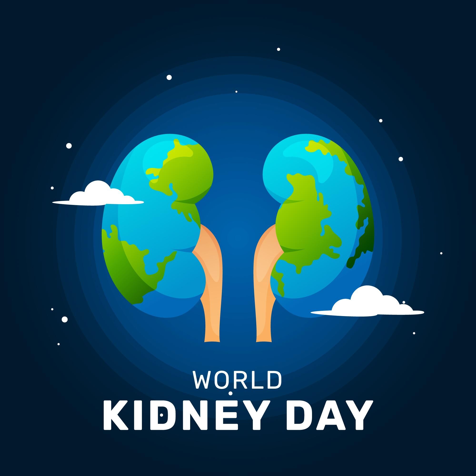 Dünya Böbrek Günü 10 Mart Ne Günü Gencgazete (8)