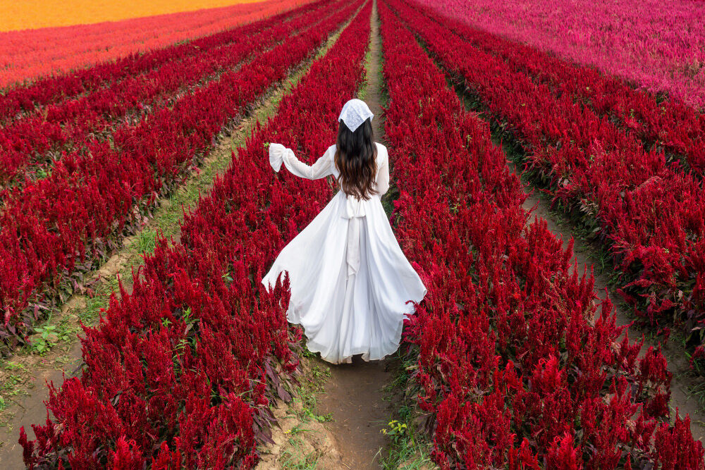 Dünya Vicdan Günü 16 Mart Ne Günü Gençgazete (8)