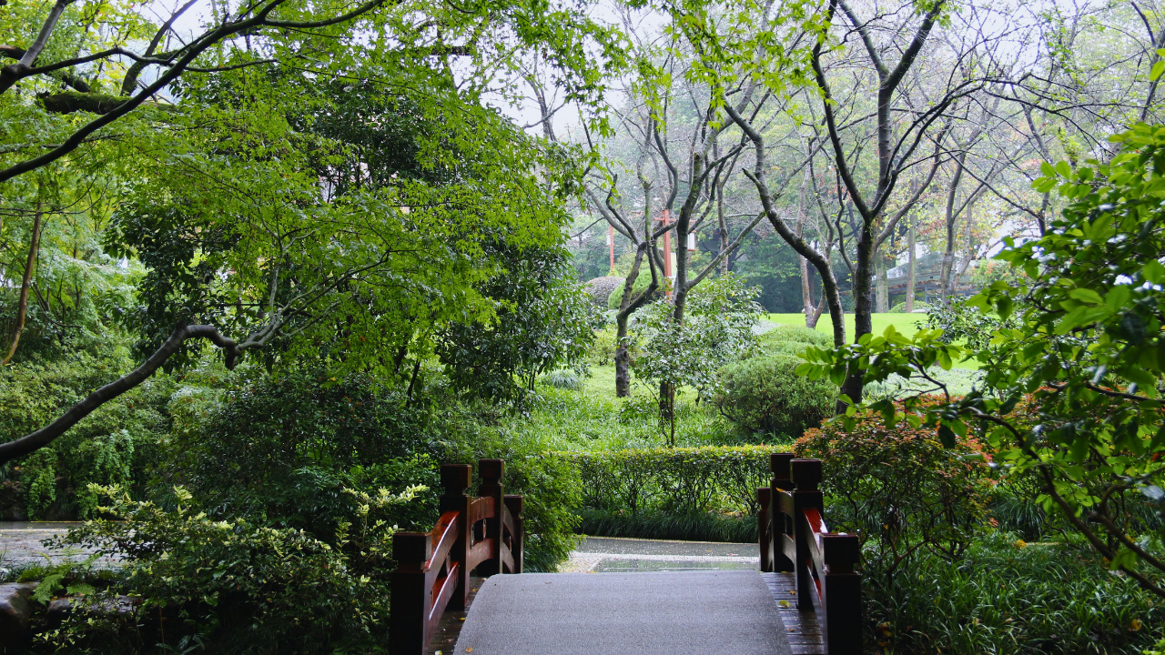 Hobi Bahçesi Sahipleri Dikkat! İzinsiz Yapılara Metrekare Başına Dev Ceza Geliyor (2)-1