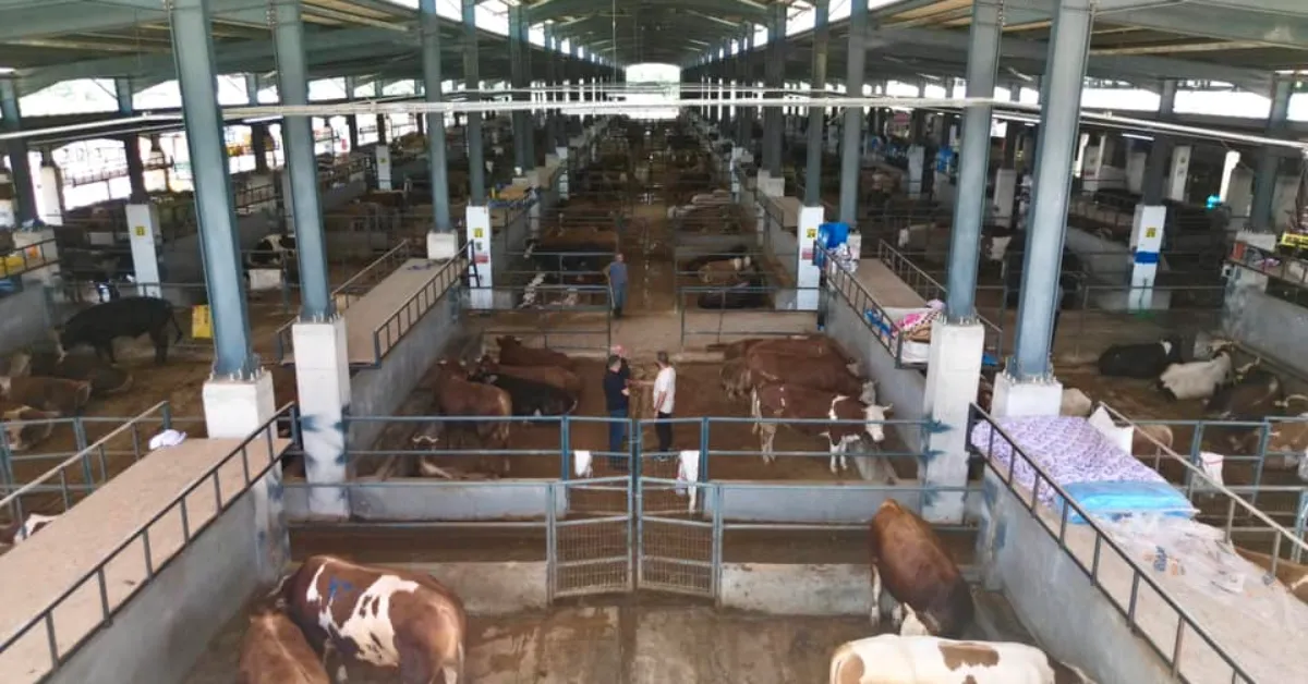 İnegöl Belediyesi Hayvan Pazarı Kotra İhalesi 8 Nisan’da Yapılacak (4)