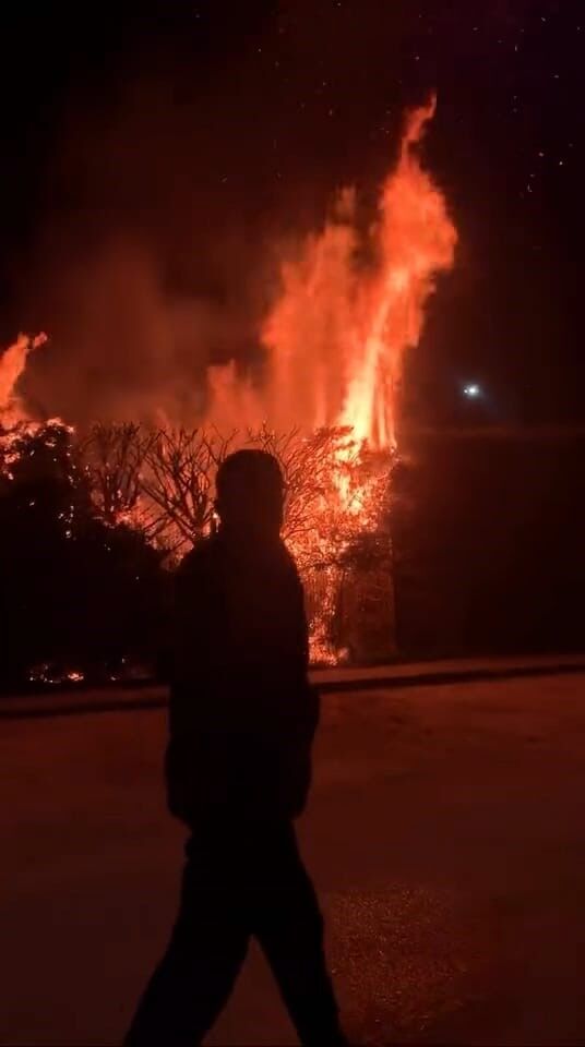 İnegöl Botanik Park’ta Yangın (4)
