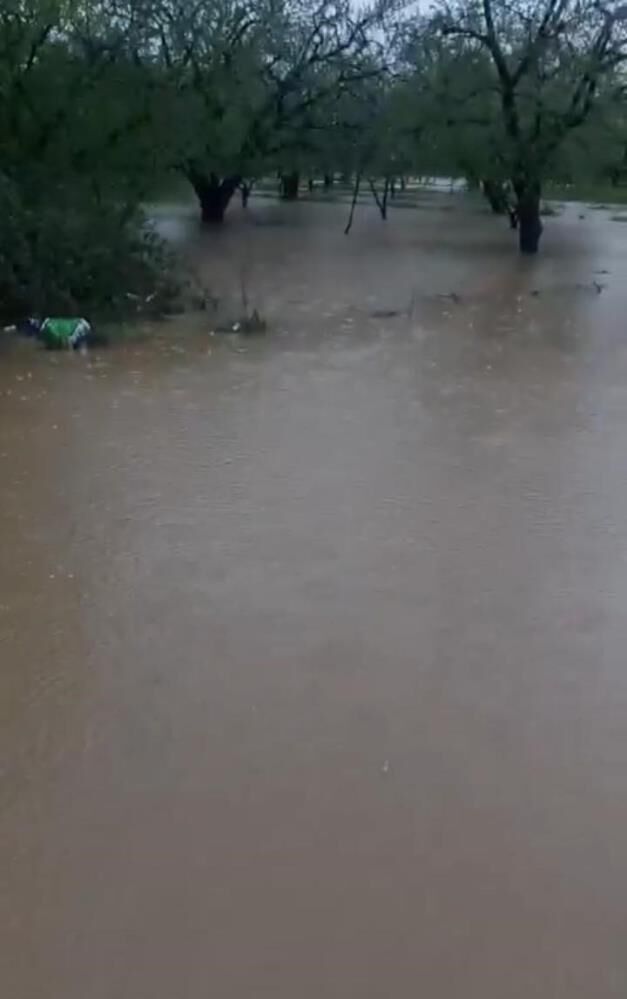 İznik'i Sağanak Vurdu! Tarım Arazileri Sular Altında Kaldı (3)