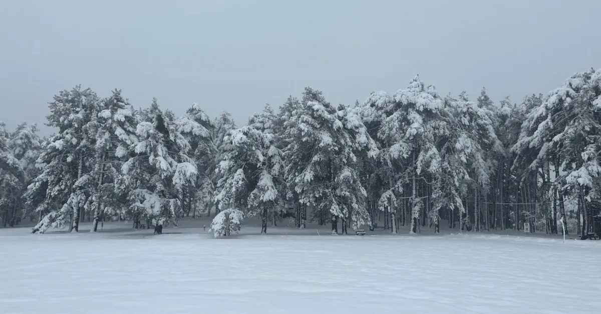 Keles'te Nisan Öncesi Kar Sürprizi Kocayayla Beyaza Büründü (2)