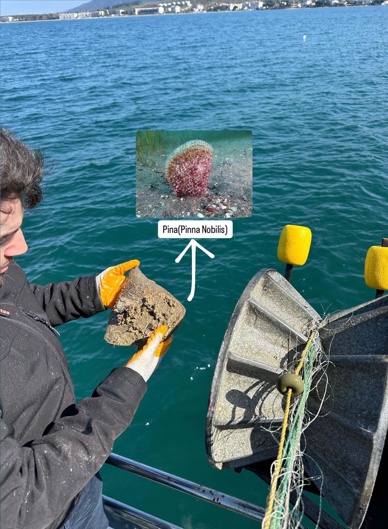 Marmara Denizi’nde Kullanılan Kaçak Av Aracı Yakalandı (5)