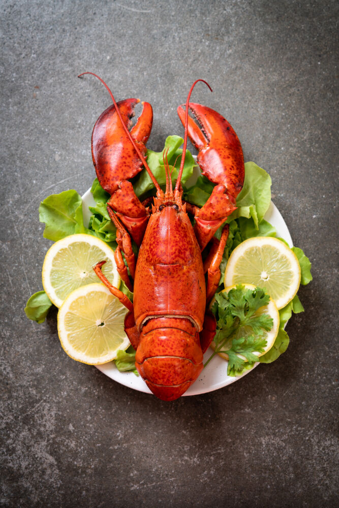 Rüyada Istakoz Görmek Gençgazete (1)