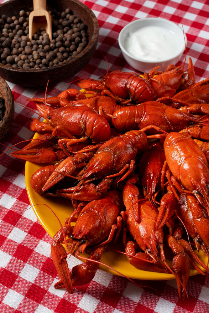 Rüyada Istakoz Görmek Gençgazete (2)