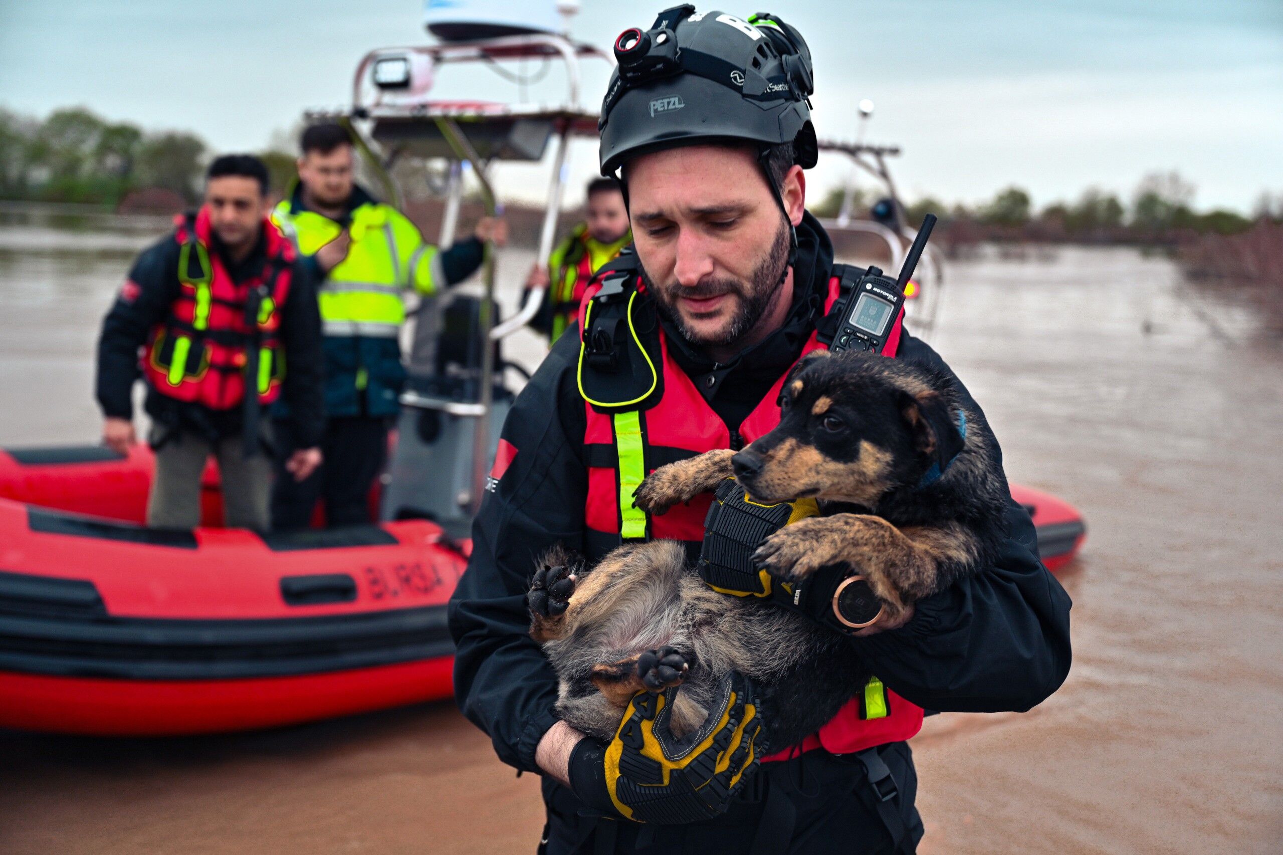 Sular Altında Kalan Bağ Evinde Mahsur Kalan Iki Köpeği Belediye Ekipleri Kurtardı (4)
