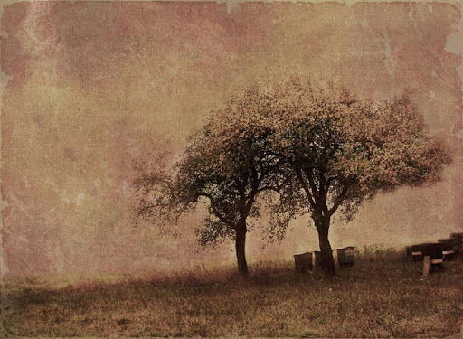 Vefat Edenler Cenaze Bilgileri Ölüm Haberleri Mezarlık Kabir Bilgileri Gencgazete (204) 13 Mart 2026 Cuma