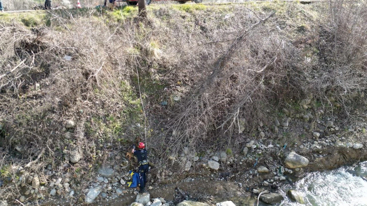 Whatsapp Image 2026 03 10 At 164344