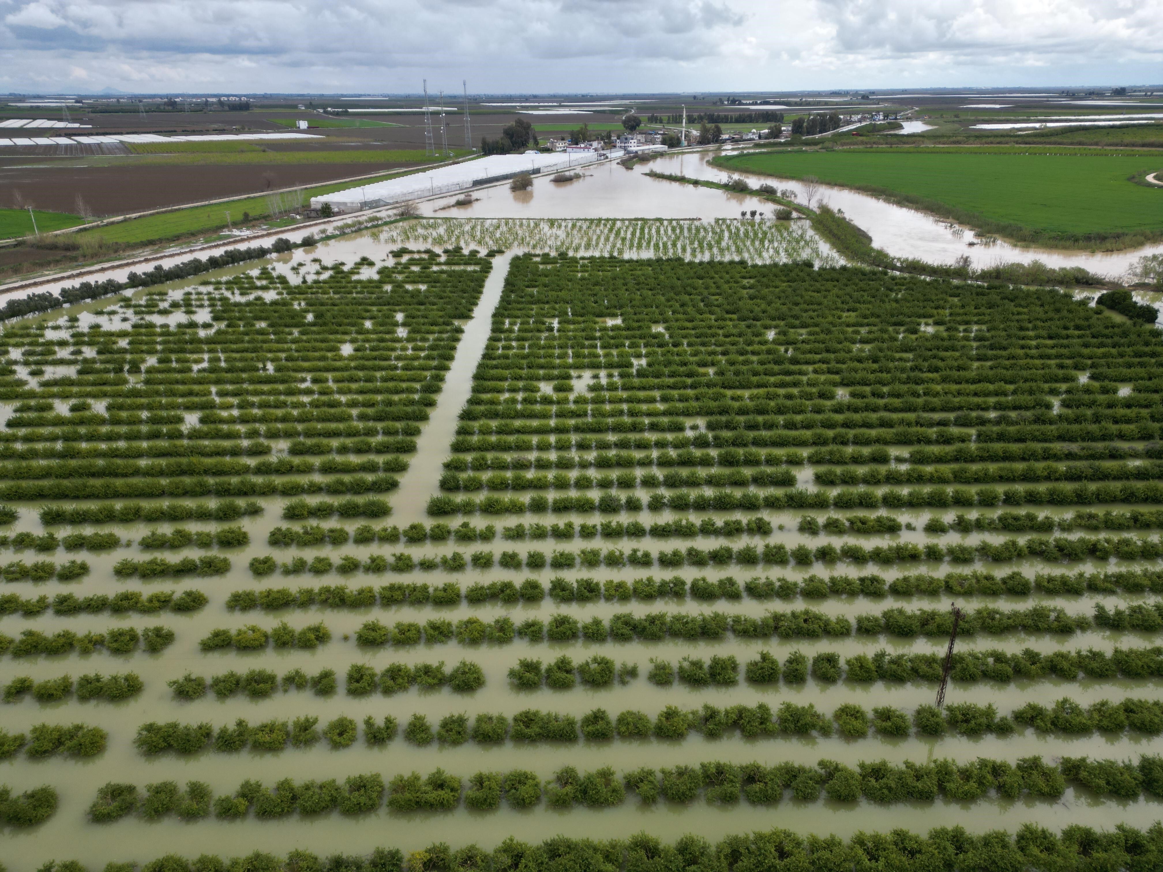 Yağışlar Tarım Arazilerini Vurdu (2)