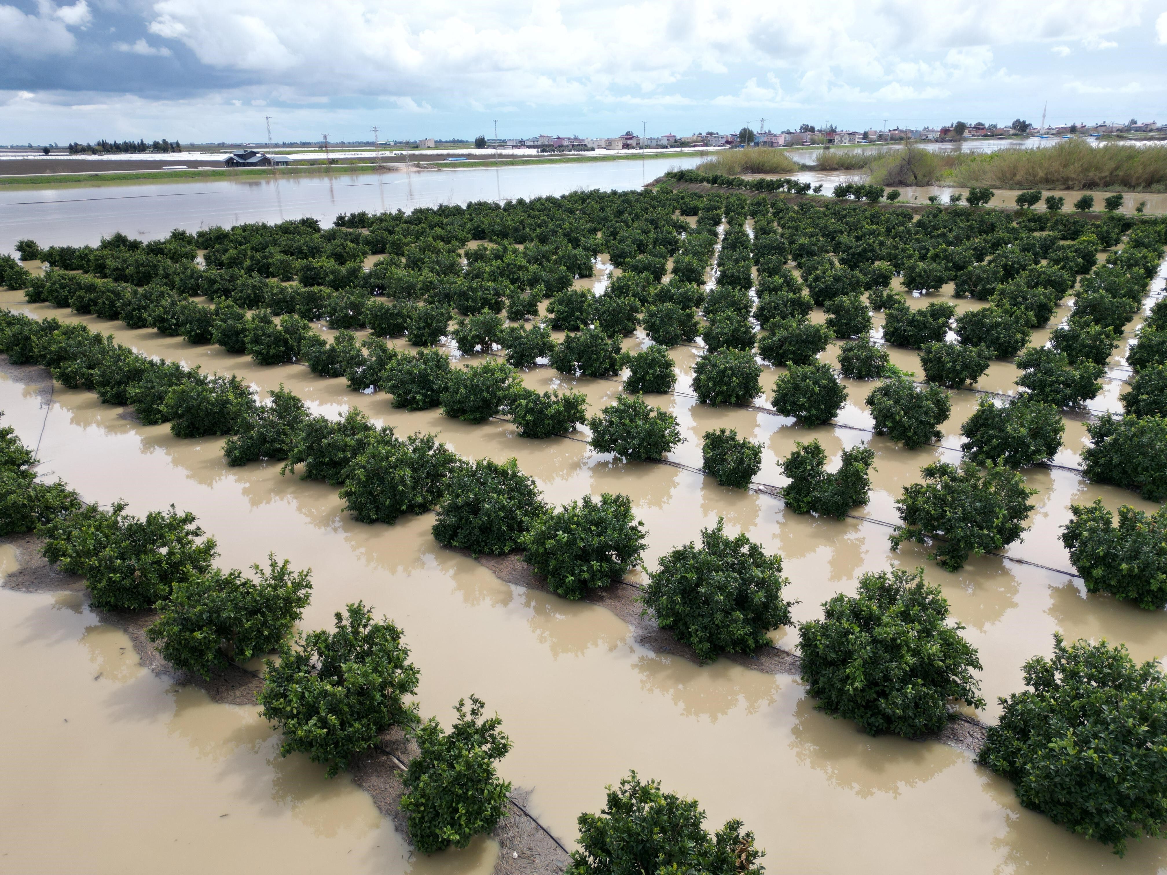Yağışlar Tarım Arazilerini Vurdu (5)