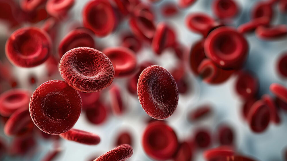 17 Nisan Ne Günü Dünya Hemofi̇li̇ Kan Gençgazete (5)