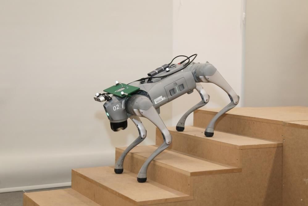 Btü’den Gençlere Robot Köpeklerle Geleceğe Yolculuk! (4)