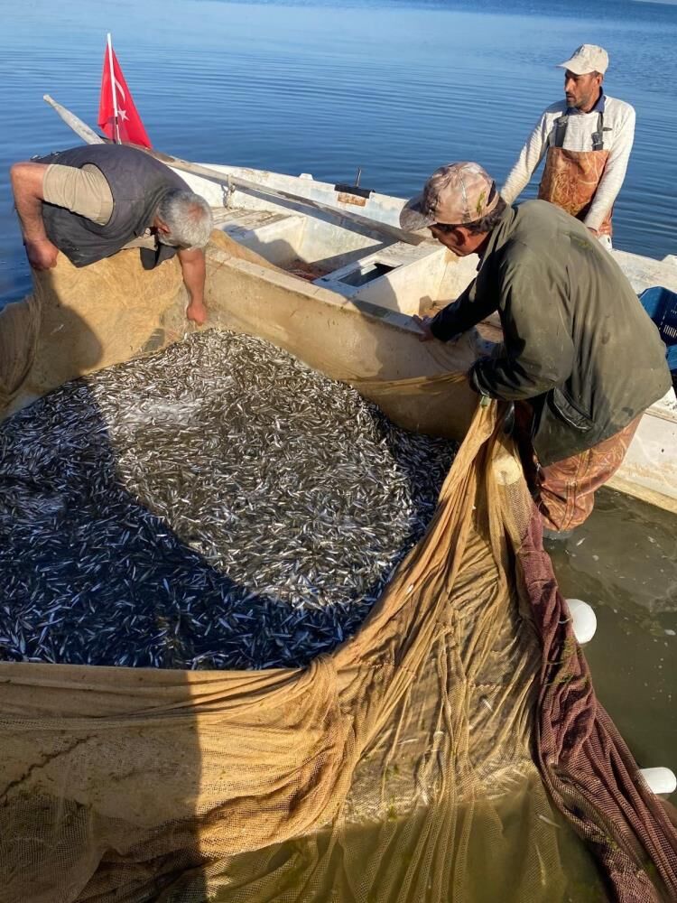Bursa’da Balıkçılar “Vira Bismillah” Dedi! Gümüş Balığı Yüz Güldürdü (4)