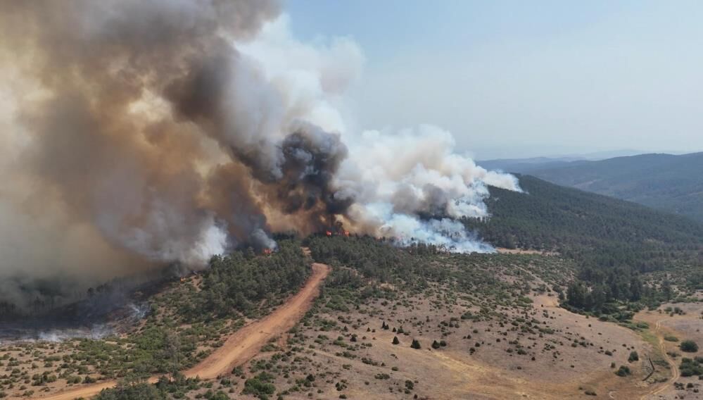 Bursa'da Dev Ağaçlandırma Seferberliği Başladı! (2)