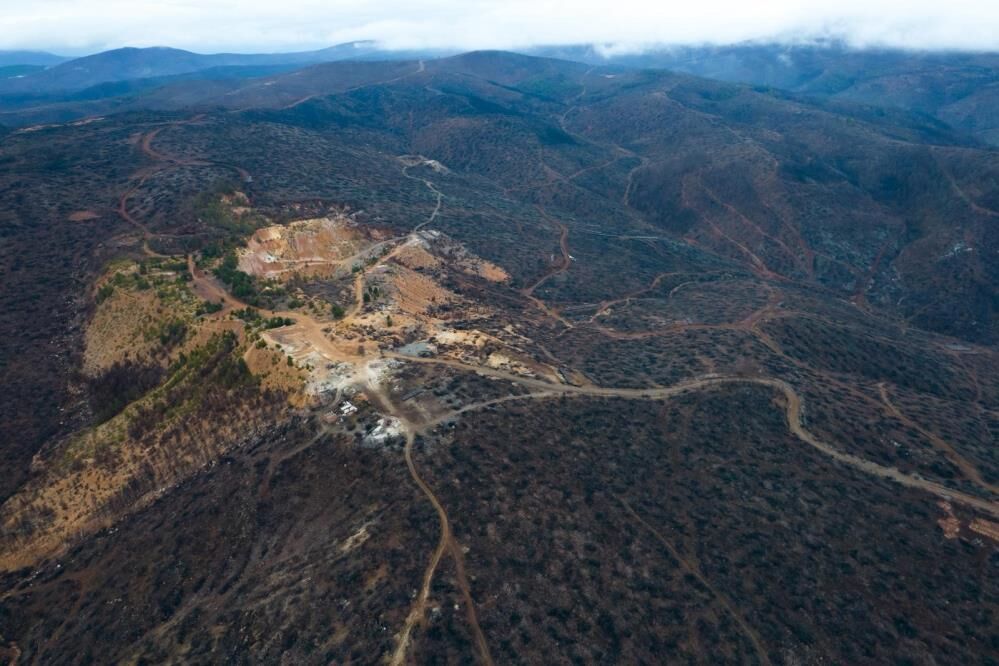 Bursa'da Dev Ağaçlandırma Seferberliği Başladı! (4)