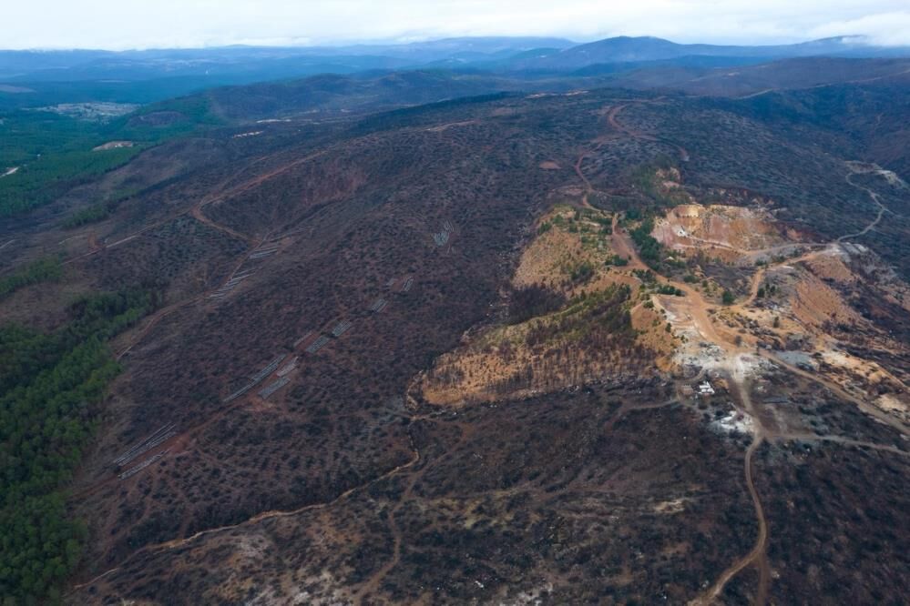 Bursa'da Dev Ağaçlandırma Seferberliği Başladı! (5)