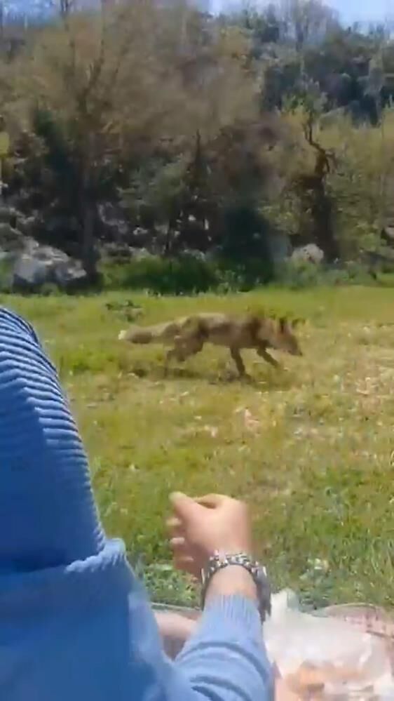 Bursa'da Ilginç Görüntüler! (2)