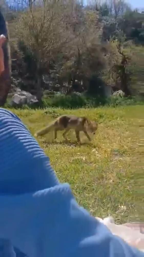 Bursa'da Ilginç Görüntüler! (3)