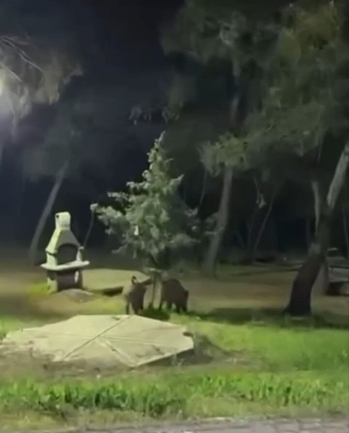 Bursa'da Piknik Alanına İndiler! (3)