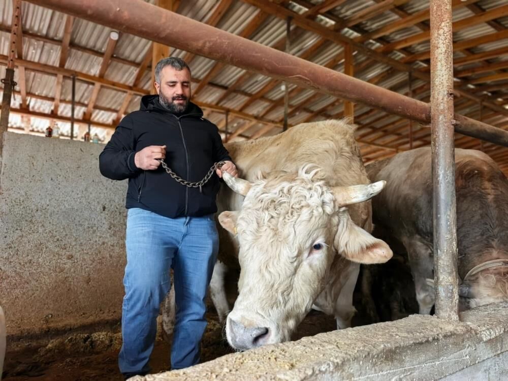 Bursa'da Tonluk 'Paşa' 500 Bin Lira! (3)