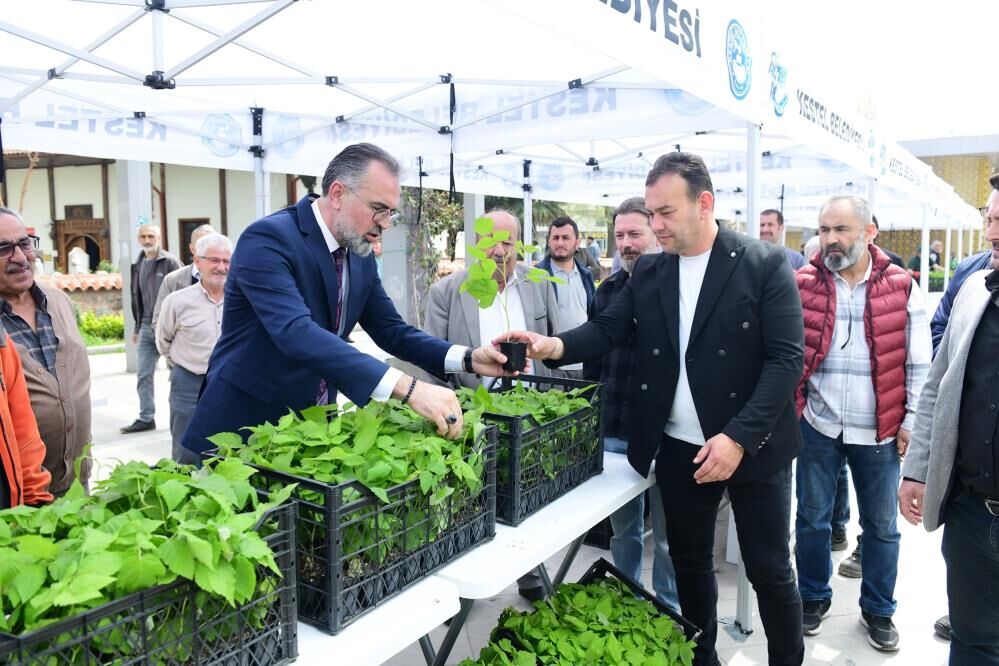 Bursa'da Üreticiye 6 Bin Ahududu Fidanı Desteği! (2)