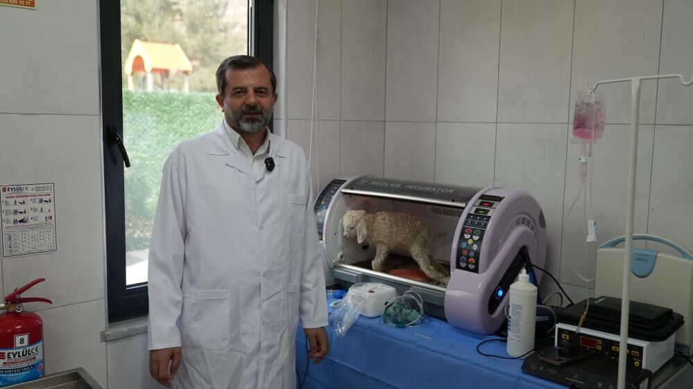 Butik Hayvanat Bahçesi Yeni Sakinlerini Ağırlıyor (1)