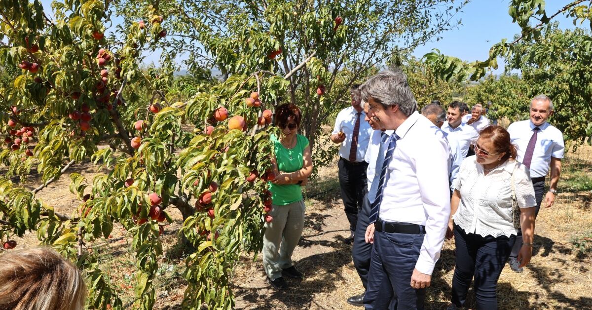 Buü, 2026 Qs Dünya Sıralamasında Ziraat Alanında İlk 500'E Girdi (3)